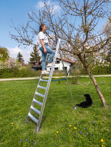 Obstbaumleiter 2.0 mit höhenverstellbarer Stütze